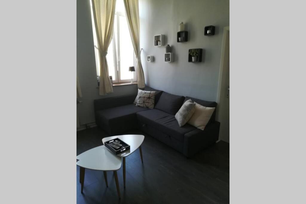 Appartement 20 Min Du Circuit Spa-Francorchamps, Вервье Экстерьер фото